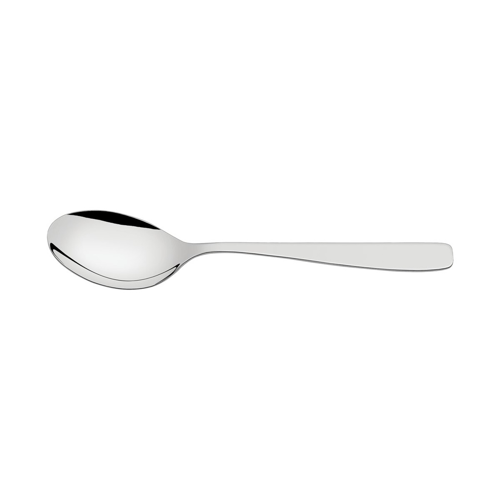 CUCHARA PARA SERVIR EN ACERO INOXIDABLE COSMOS