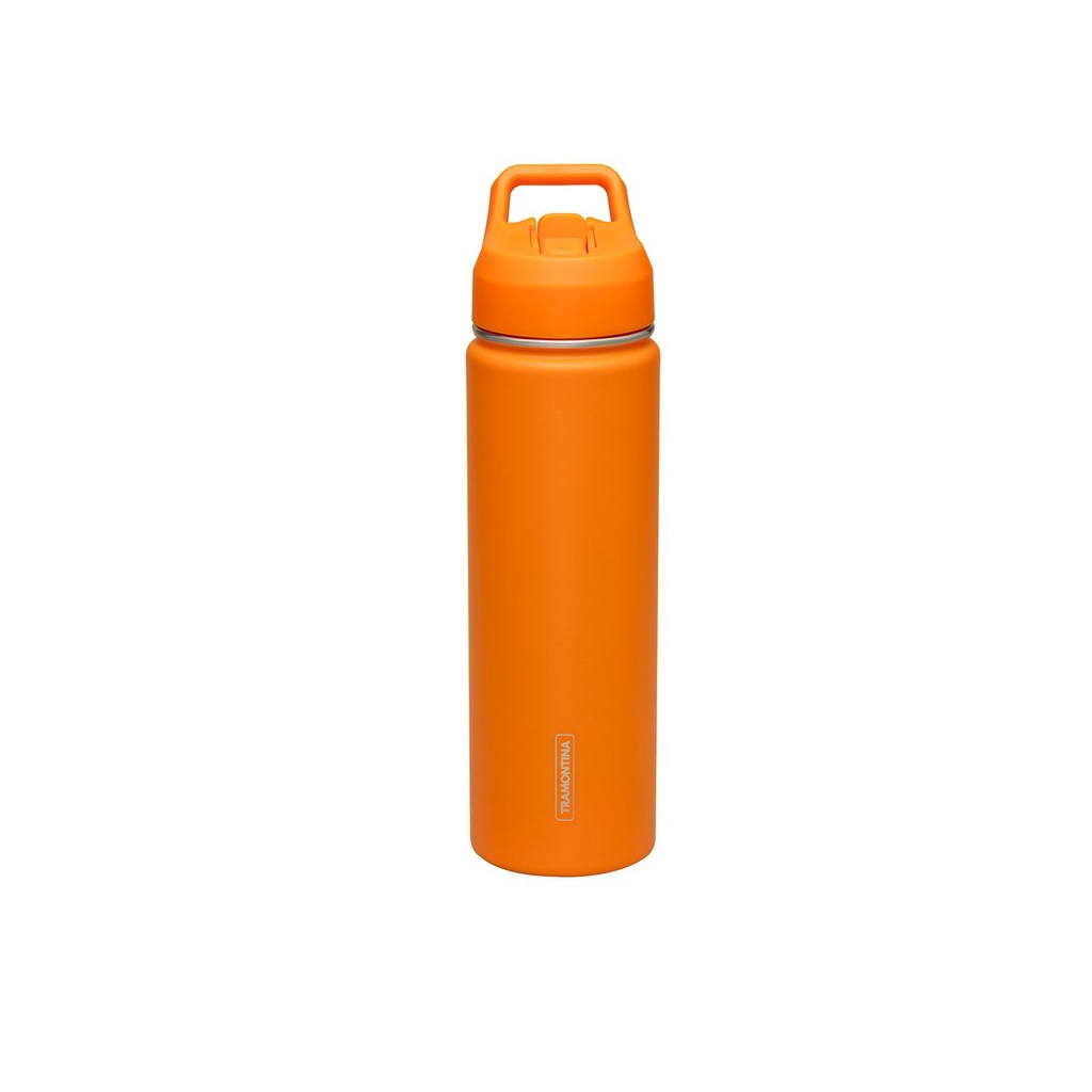 [61649651] BOTELLA TÉRMICA CON SORBETE - 0,65L